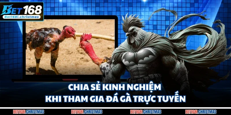 Chia sẻ kinh nghiệm khi tham gia đá gà trực tuyến