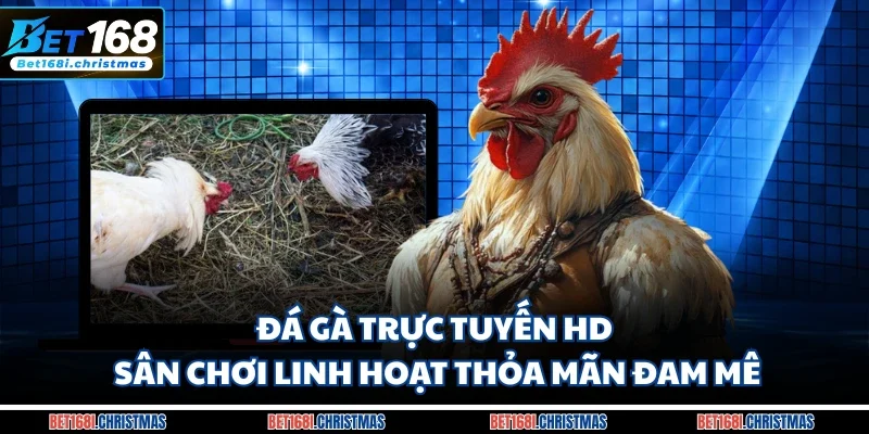 Đá gà trực tuyến HD