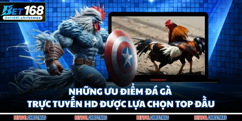 Những ưu điểm đá gà trực tuyến HD được lựa chọn top đầu