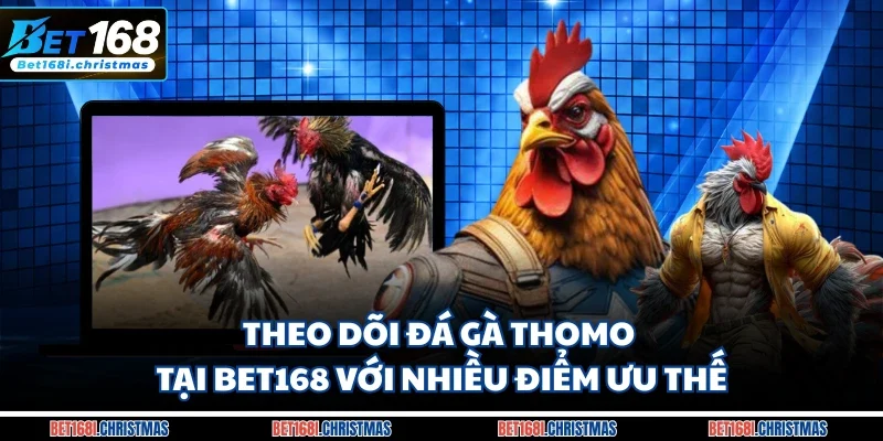 Theo dõi đá gà Thomo tại Bet168 với nhiều điểm ưu thế