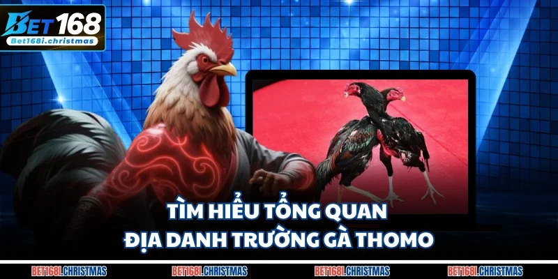 Tìm hiểu tổng quan địa danh trường gà Thomo