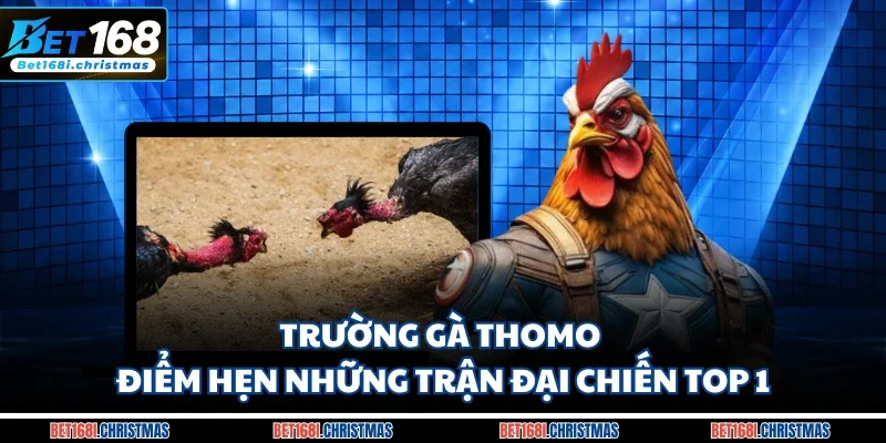 Trường gà Thomo
